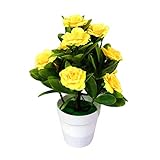 Photo Gallery robaun piante artificiali finte bonsai piante in vaso di piccole dimensioni con ornamenti in vaso compatible with la decorazione domestica decorazione del giardino dell hotel bonsai (color : 1)