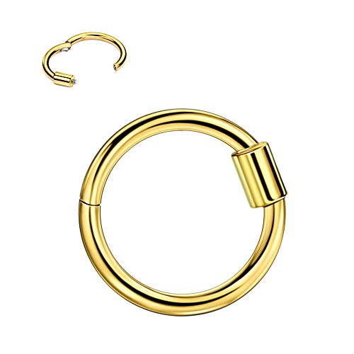 FANSING 316L Surgical Steel Daith Earrings for Women 16 Gauge Helix Cartilage Ear Piercing Hoop 8mm Septum Jewelry 14k Gold Plated Hinged Septum Nose Rings 16g Clicker