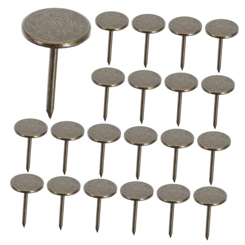 CIYODO Versatile Wall Nails Pcs Flat Head Thumb Tacks for Hanging Iron Push for Wallpaper Small Nails for Office and Home
