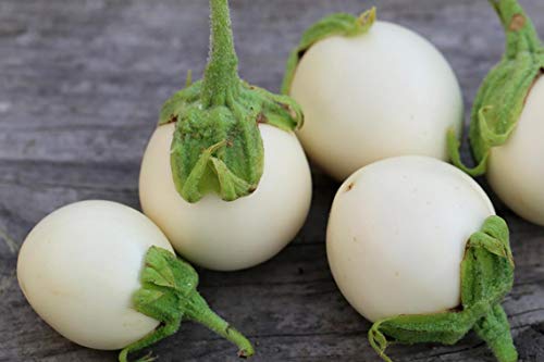 Cemeha Seeds - Eggplant Aubergin Round Mix Thai Non Gmo Vegetable For Planting #TOP7