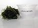 Java Moss Portion in 4 Oz Cup - Easy Live Fresh Water Aquarium Plants
