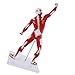 Teaching Model Tools,Human Muscle Anatomy Model 20In Mini Human Muscle Figure Human Anatomy Muscle Model Muscular System Model 3D Figurine Statue Muscle Skeleton Model