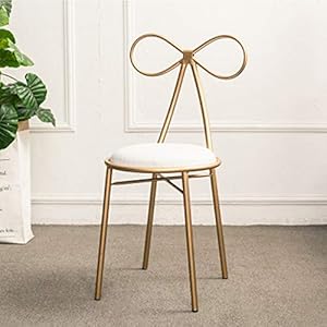 American Country Modern Design Gold Color Iron Metal Dining Chair Butterfly Backrest Leisure Dressing Chair Soft Seat Cushion (Color : White) American Country Modern Design Gold Color Iron Metal Dining Chair Butterfly Backrest Leisure Dressing Chair Soft Seat Cushion Color White