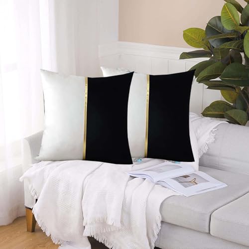 Image of HIMS Velvet Sofa Pillow Cover Set of 2, Luxury Cushion Cover 22 inch x 22 inch for Decorative Living Room Sofa Bedroom Car (22x22 Inch, Black)