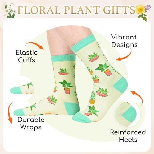Set de regalo para amantes de plantas 5 piezas miniatura 5