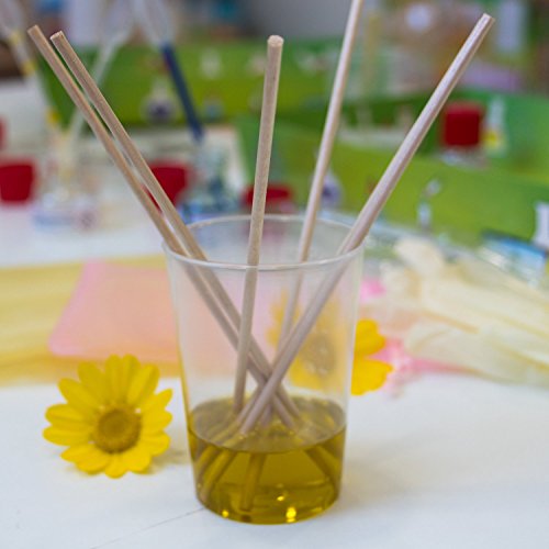 Science4you il Mio Primo Spa Kit Pedagogico