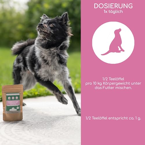 Wolfsbacher Natürliches Venus Balance Pulver für Hunde - Unterstützung bei Läufigkeit & Scheinschwangerschaft, mit Mönchspfeffer und Himbeerblättern