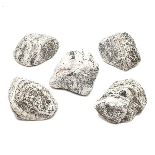 `󂨔C W lTCYiPR`PWj T ANAE CAEgf