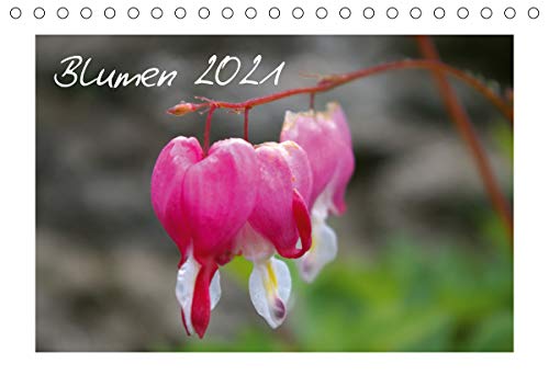 Preisvergleich Produktbild Blumen / 2021 (Tischkalender 2021 DIN A5 quer)