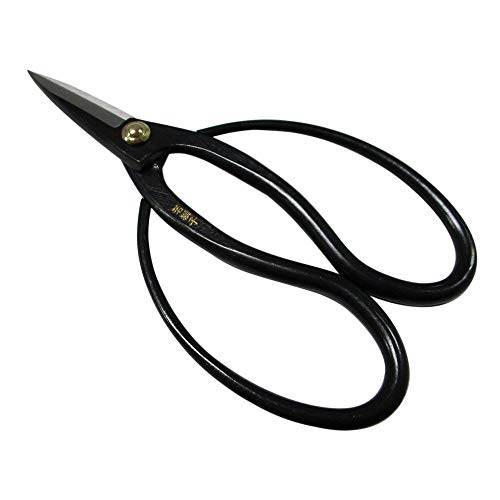 ᎂq ~ S| PWO No.725013