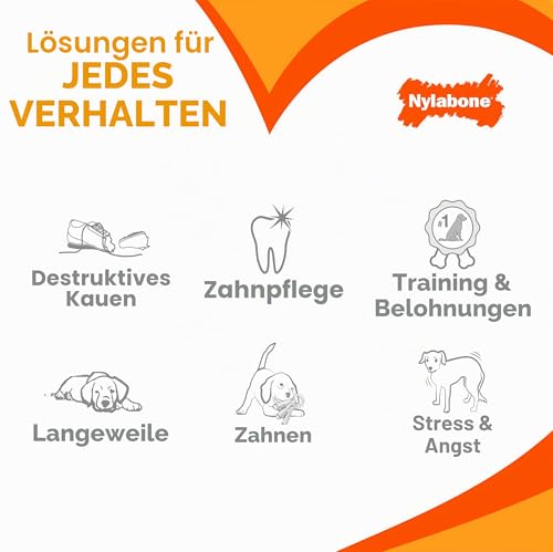 Interpet 977814 Nylabone - Dura Chew Kauknochen, Hähnchengeschmack, souper – Ansicht 6