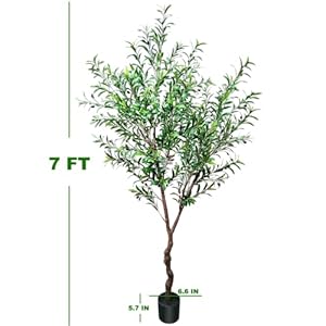 Faux Olive Tree Fake Olive Tree Olive Trees Artificial Indoor 7 Feet X (84 inches) Realistic Potted Silk Indoor Large Fruit for Home Offices, Living Rooms, Bedrooms, Stairs and Foyer Decor Faux Olive Tree Fake Olive Tree Olive Trees Artificial Indoor 7 Feet X 84 inches Realistic Potted Silk Indoor Large Fruit for Home Offices Living Rooms Bedrooms Stairs and Foyer Decor