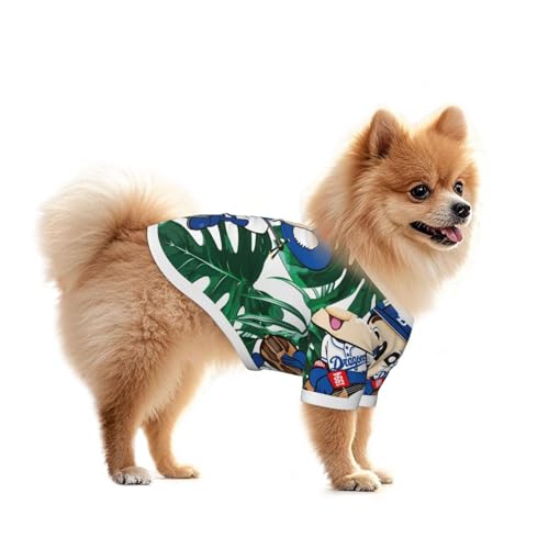 hSY }XRbg hA  ̕ tėp ėp ^ ^ ybgEFA m  Eѕی ƒ U