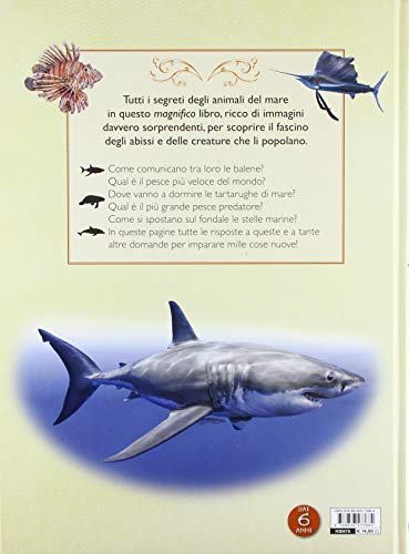 Il Magnifico Libro Del Mare - 2