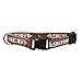 NFL Arizona Cardinals Team Pet Collar