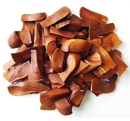 Image of SEEMA Kadwa Badam Sugar Badam | Diabetes Bitter Almonds | Thengani kai | Mahogany Seeds | Diabetes King Bitter Seeds, Machine Cleaned, hygienically processed & packed Pack of 900 Grams