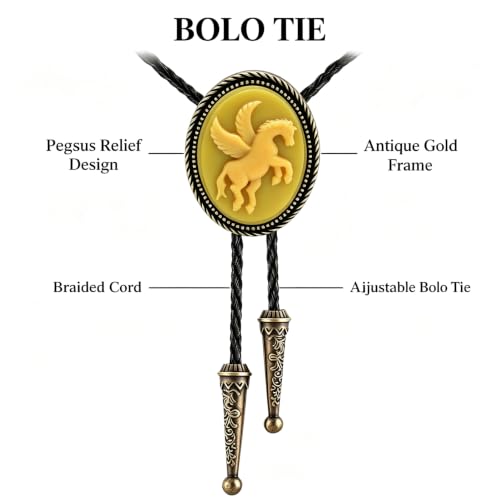 Image of Jeilwiy Bolo Tie for Men, Western Bolero Tie Cowboy Ties Native American Cowgirl Bolo Tie Accessories for Men Women