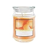 SRG Scented 18 Ounce Glass Jar Container Candle - Peach