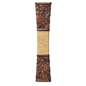 Velgo Hub Wooden Floor Square Shape Flower Vase With Coconut Shell Chips And Golden Rope (24 Inch)