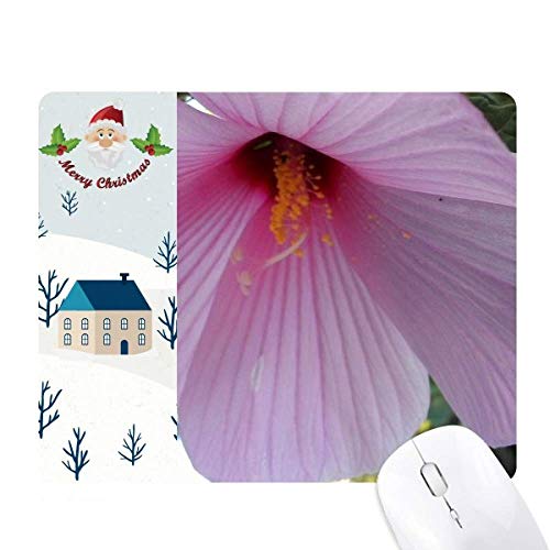 sN̉Ԃ̕iʐ^ T^N[XƉS̃}EXpbh