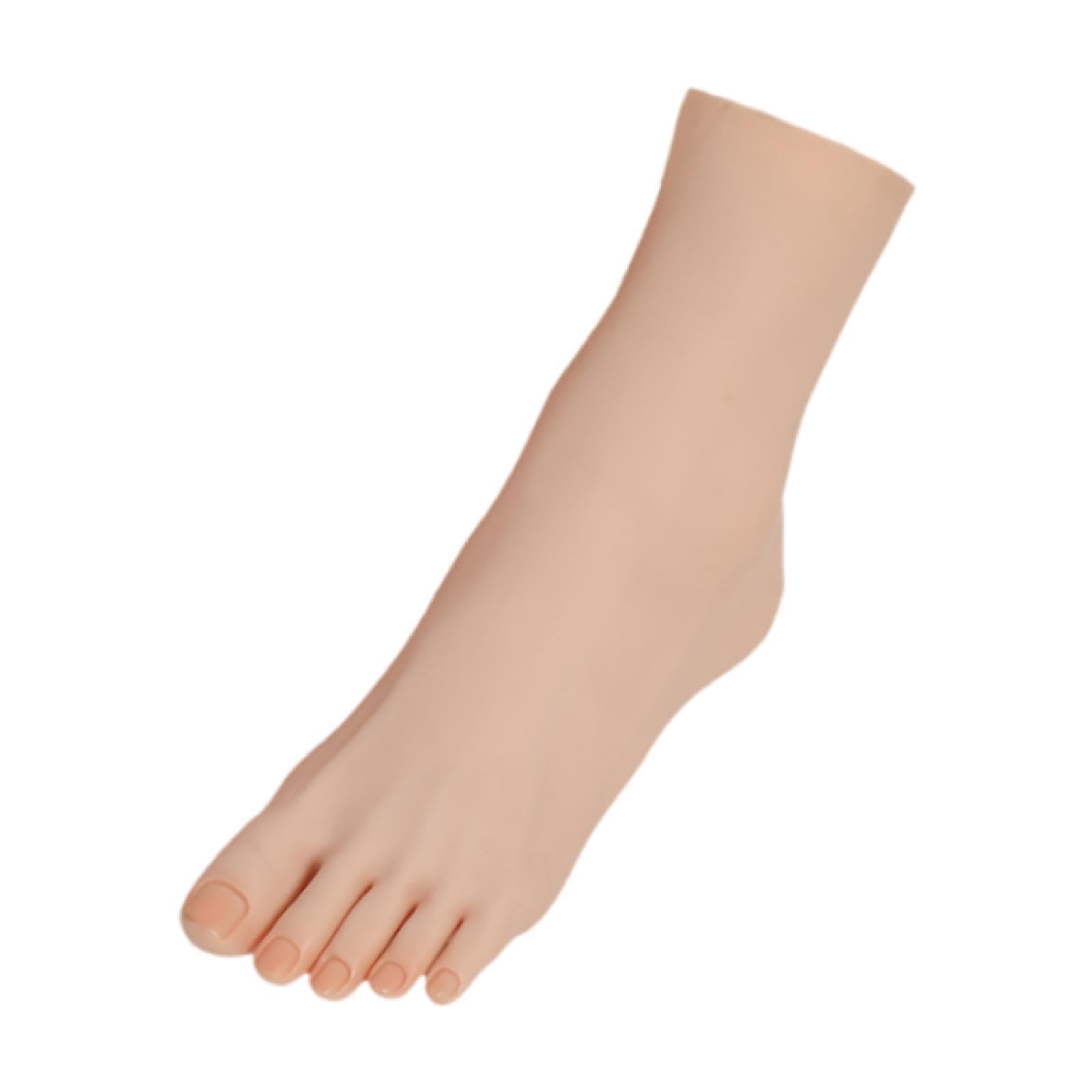 TWISAXC Sandal Display Female Foot Displaying Jewelry Shoes Accessories In Retail Settings And Manicure Art .(Jewelry Not Include) Socks Shoes Display Holder