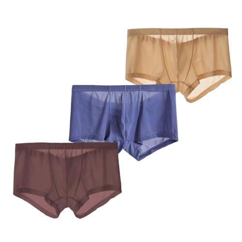 ONEFIT Men's Ice Silk Underwear Semi Transparent Low Waist Thin Boxer Briefs Mesh Breathable Underpants