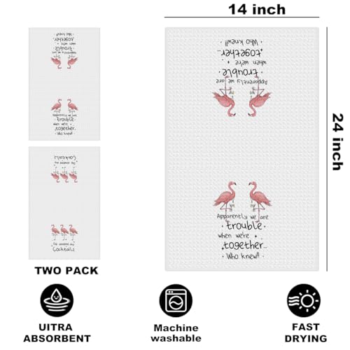 Image of Hanamiya Na 2 Pcs Funny Flamingo Kitchen Towels 14x24 Inch, Hot Pink Bird Dish Towels Waffle Weave Hand Cloth Tea Towel for Home Kitchen Bar Decor, Flamingo Gifts for Women Mom