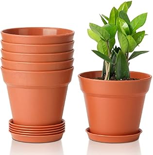 T4U Plastic Plant Pots 6-Pack, Flower Pot with Drainage Hole and Saucer, Classic Indoor Outdoor Plant Pots for Succulent, Snake Plant, Aloe Vera and All House Plants (16CM Opening Diameter, Black)