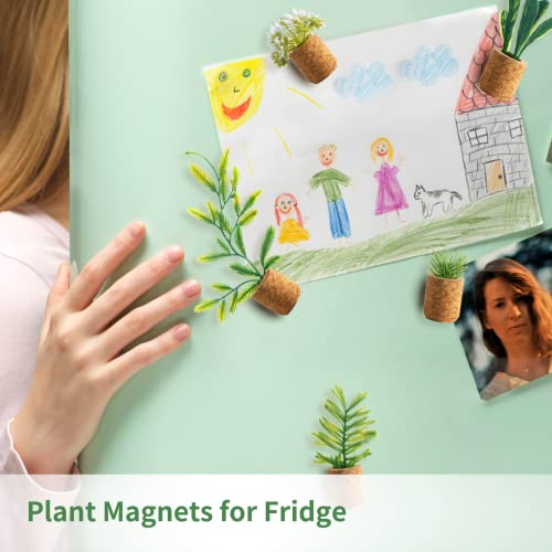 Imanes decorativos de plantas suculentas para refrigerador miniatura 2