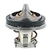 Stant OE Type Thermostat, Stainless Steel