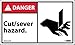 NMC DGA22AP ANSI Sign with Graphic, 