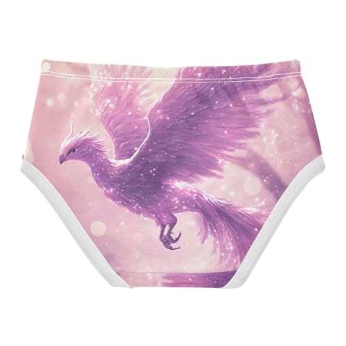 Purple Galaxy Phoenix Toddler Girls's Underwear 2T 202c03552