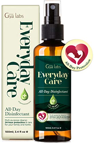 Spray nettoyant quotidien Gya Labs - Nettoyant tout usage avec protection 24 heures pour les surfaces et les mains (100 ml) - Spray nettoyant tout usage pour de multiples applications