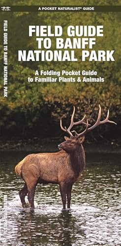 Banff National Park, Field Guide to: A Folding Pocket Guide to Familiar Plants & Animals (Nature Observation North America) Banff National Park, Field Guide to: A Folding Pocket Guide to Familiar Plants & Animals (Nature Observation North America)