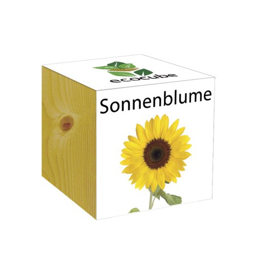 Preisvergleich Produktbild ecocube Holzwürfel - Sonnenblume