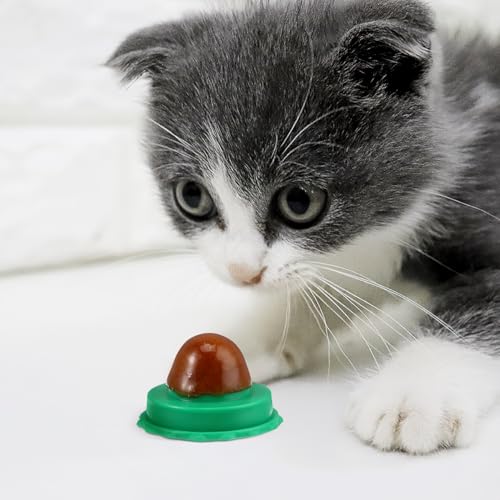 Herbe-aux-chats iplusmile en sachet pour chat d'appartement manquant d'activité - 3