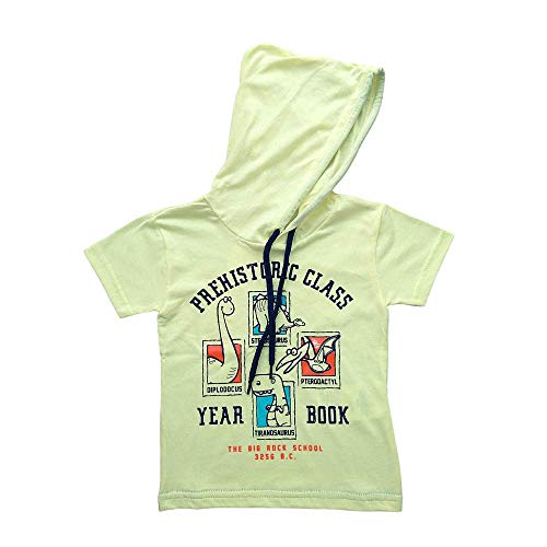 Camiseta Infantil Menino com Capuz e Silk 1