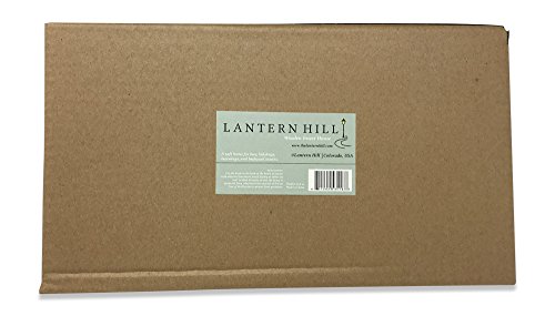 Lantern Hill Multi-Chambered Insect House, Designed Especially For Your Favorite Garden Friends, 7.3” X 6” X 12.5” #TOP5