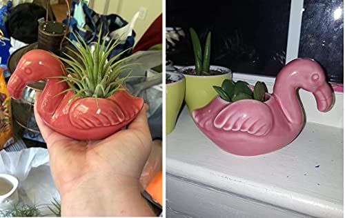 Youfui Cute Animal Succulent Planter Flower Pot Decor For Home Office Desk (Flamingos) #TOP3