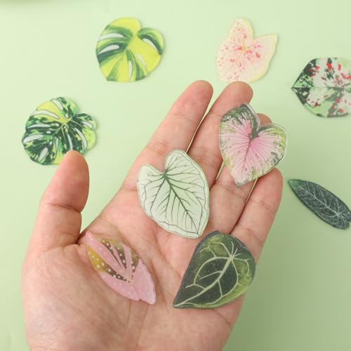 Imanes decorativos para nevera en forma de hoja, pack de 12 miniatura 4