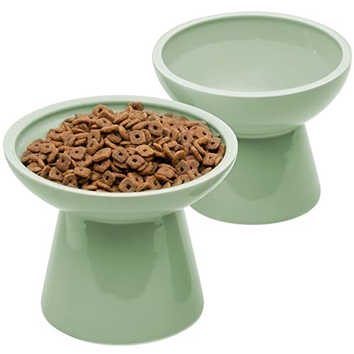 The Best elevated cat bowls Top 7 Picks By An Expert licorize