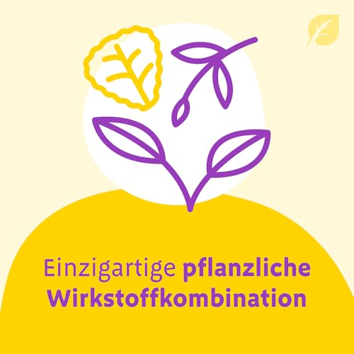 Canephron® Uno – 4-fache Wirkung bei Blasenentzündung*: bei Schmerzen, Krämpfen, Bakterien und Entzündung, mit einzigartiger Heilpflanzen-Kombination, 60 überzogene Tabletten