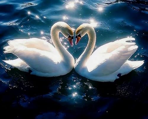 Diamant painting arts canevas cygnes pour partager un moment de complicité