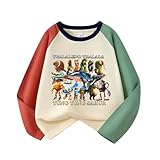 イタリアンブレインロット 長袖 tシャツ キッズ 子供服 春秋 綿100% トゥントゥントゥンサフール ブレインロット 丸首 キャラクター 子ども服 トップス カラフルプリント トップス 男の子 女の子 おしゃれ 誕生日プレゼント (オレンジ+グリーン,110)