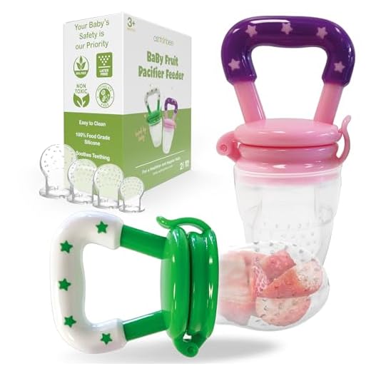 Baby Fruit Feeder Pacifier (2 Pack) - Fresh Food Nibbler, Infant Fruit Teething Toy, Food Grade Silicone Pouches for Toddlers & Kids by Ashtonbee
