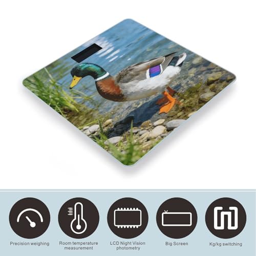 Báscula digital Mallard Duck para cuerpo, 180 kg capacidad miniatura 3