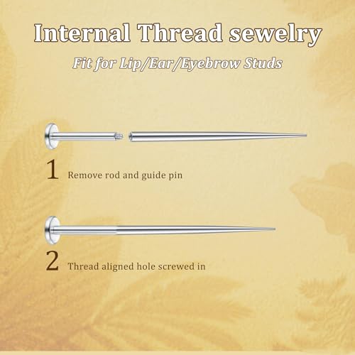 MODRSA Piercing-Taper Taper-Insertion Stretching-Kit Chirurgenstahl: 16,18,20G Curved Taper Insertion Chirurgenstahl to Changing Jewelry for Body