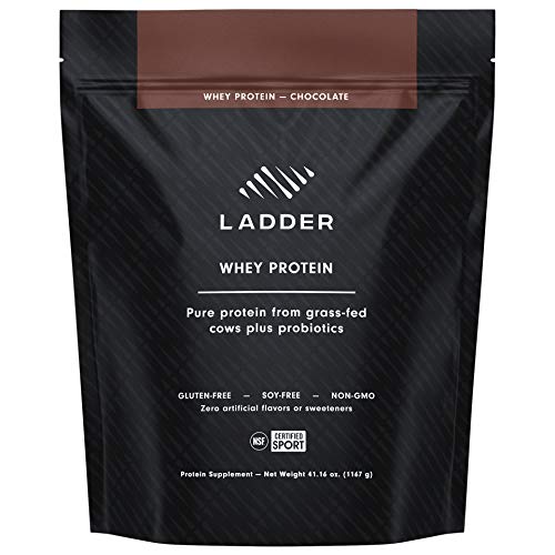 LADDER Sport Whey Protein Powder - 26g Protein, 7g BCAAs, 14g EAAs, 2 Billion CFU Probiotics, No Artificial Sweeteners, NSF Certified for Sport, formulated for Lebron James (Chocolate)