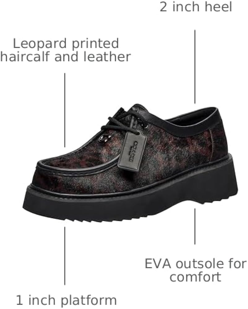 Amazon.com | COACH Sculpted C Leopard Print Chukka Boot | Chukka