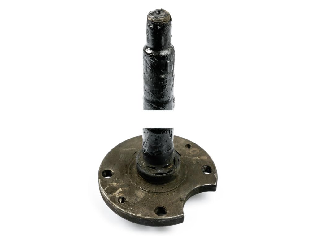 Albero Portaruota Posteriore – 22 Cave Compatibile con Fiat 500 Giardiniera Base D e Base F, 600 D, 600 E, 850 Berlina 1^ Serie e Autobianchi Bianchina Panoramica Base D e Base F Epoca